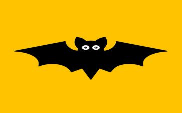 蝙蝠与雷达说课教案6篇