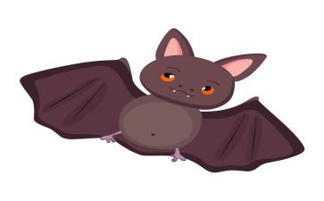 蝙蝠与雷达说课教案参考5篇