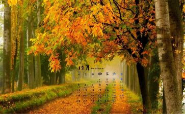12月教师工作总结8篇