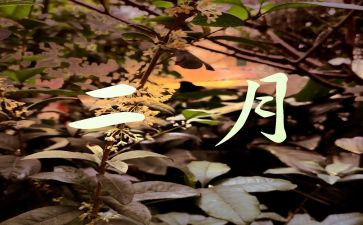 幼儿园2月份个人总结7篇