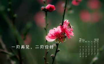 2月兰读后感5篇