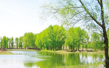 3月销售工作总结模板5篇