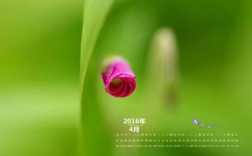 幼儿中班4月工作总结5篇