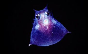 生物组教研工作总结最新8篇