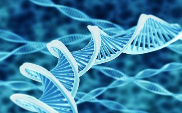 高中生物组教研工作总结7篇