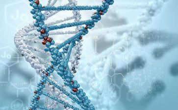 生物教师个人年度总结7篇