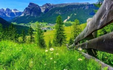 把握的作文500字作文8篇