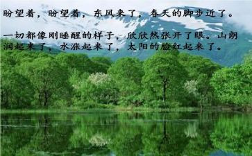 活动策划春节活动方案优质5篇