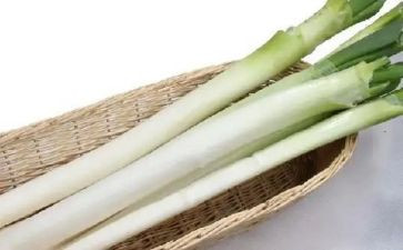 葱的种植教案7篇