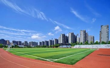 大学自我鉴定表300字推荐8篇