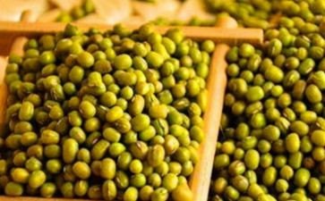 晒豆子的作文8篇