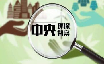督查室年度总结7篇