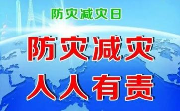 防灾减活动总结参考5篇