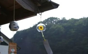 遥远风铃的读后感7篇