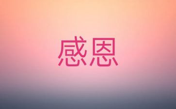 我最感激作文600字5篇
