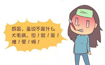 感冒及预防教案模板5篇