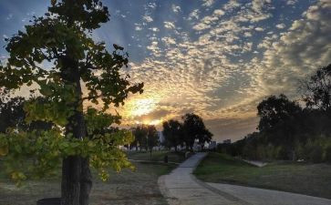 告别作文满分作文8篇