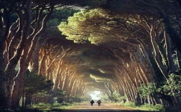 《告别》满分作文6篇