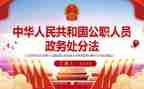 公职人员政务心得体会7篇