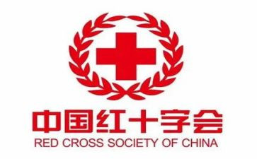 红十字日活动策划8篇
