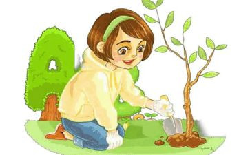 幼儿环保总结8篇