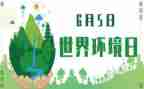 65环境日工作总结6篇