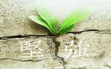 《坚强》作文推荐7篇