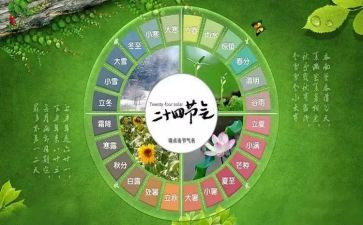 节气的作文最新6篇