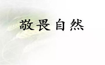 敬畏生命的作文精选6篇