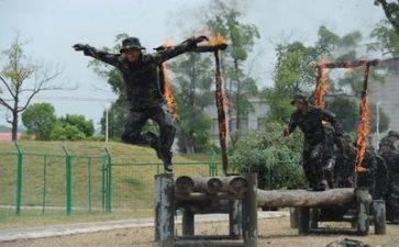 教师暑假集训心得5篇