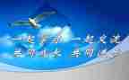 课改教学总结6篇