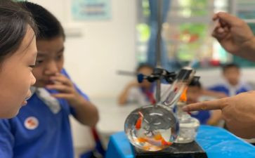 小学科学课教案优质6篇