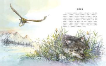 <<狼王梦>>读后感通用5篇