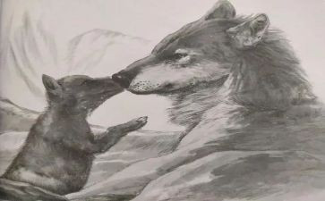 <<狼王梦>>读后感模板8篇