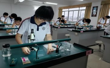 理化生教研组工作总结作总结8篇