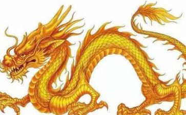龙和凤读后感7篇