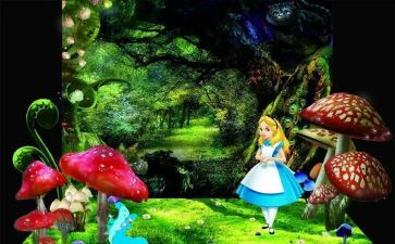 漫游的作文精选5篇