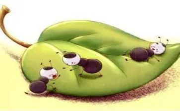 蚂蚁爬教案反思5篇