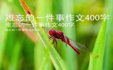 我难忘的一件事600字作文5篇
