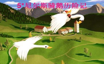关于尼尔斯的读后感6篇