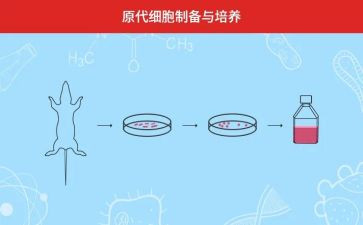 双培养工作计划优质6篇