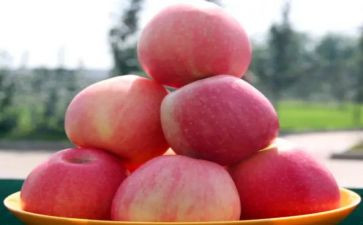 大苹果故事教案6篇