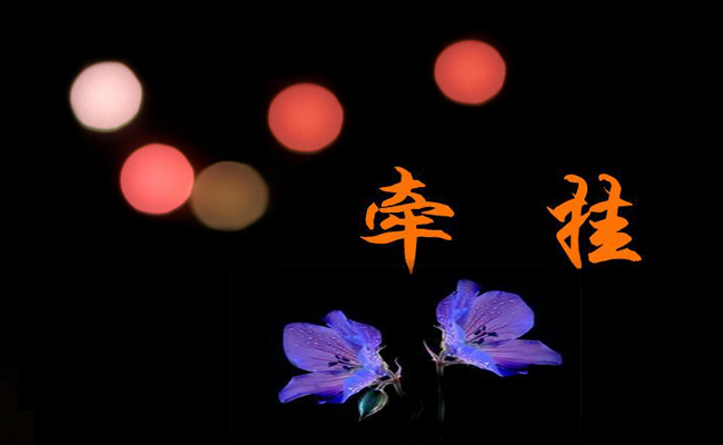 作文我牵挂的人600字6篇