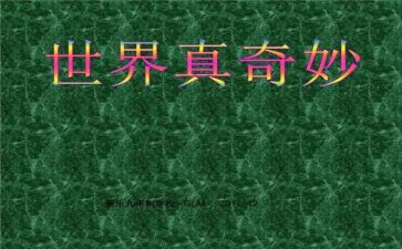 数学奇妙王国读后感5篇