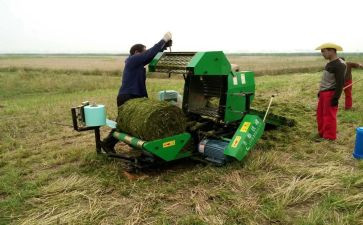 青储买卖合同5篇