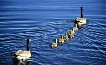 亲情类的作文600字7篇