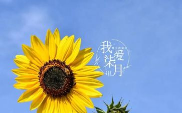 教师七月份工作总结5篇