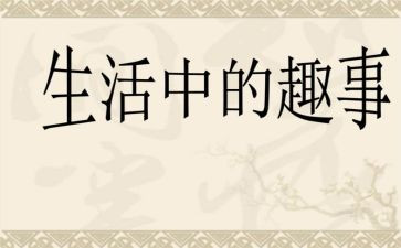捉蚊趣事作文参考5篇