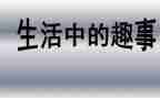 暑假趣事的作文500字5篇