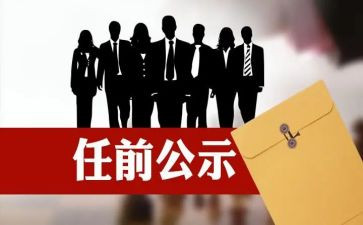 任职来工作总结优秀5篇